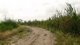 One of the many farmland roads we took each morning on the way to school.